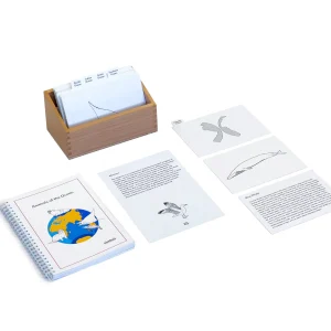 067001.jpgv1737728582 Animaux de l'océan (anglais)