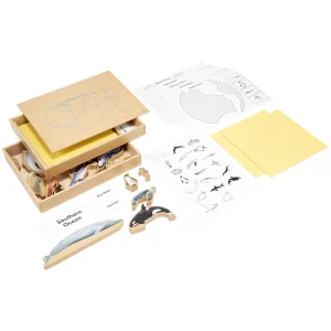 Boite des animaux marins par continent (anglais)