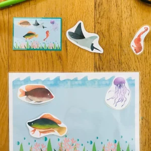 195321612_787100195499767_6620091778125917000_n.jpgfit15362C2048ssl1 Jeu de mémoire visuelle pour enfant PDF à imprimer