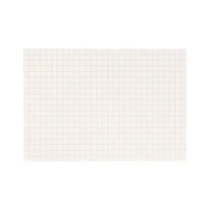 250-feuillets-quadrilles-10-mm.jpgv1729875799 250 feuillets quadrillés 10 mm