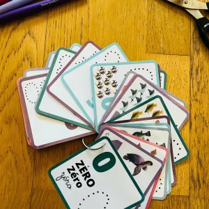 279200360_743537826663514_4381001824289138985_n-scaled.jpgfit19202C2560ssl1 Cartes de nomenclatures avec les nombres de 0 à 100