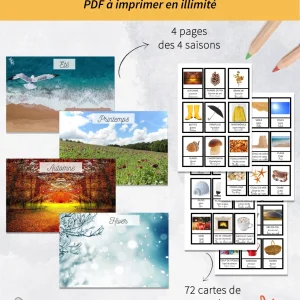 4-saisons-montage-jeux-PDF.pngfit30002C3522ssl1 Jeu sur les 4 saisons carte de nomenclature à imprimer