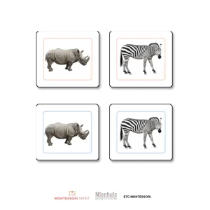 african-animals-matching-cards.jpgv1729877488 African Animals Matching Cards