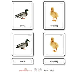animal-young-3-part-cards.jpgv1729877554 Animal Young 3 Part Cards