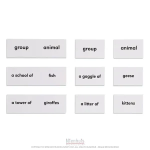 Animals And Their Groups