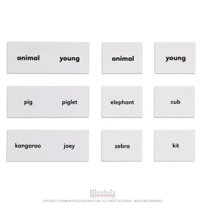 animals-and-their-young.jpgv1729876311 Animals And Their Young en anglais