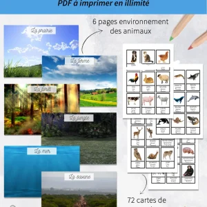 animaux-montage-jeux-PDF.pngfit30002C3522ssl1 Jeu sur les animaux à imprimer, en avant la découverte
