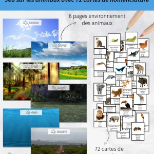 animaux-montage-jeux-png.pngfit30002C3522ssl1 Jeu sur les animaux avec des cartes de nomenclature