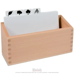 Boite de rangement des modèles de dessins de botanique