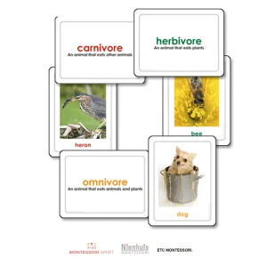 carnivores-herbivores-omnivores.jpgv1729877516 Carnivores, Herbivores & Omnivores