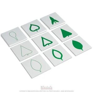 cartes-des-feuilles-d-arbre.jpgv1729875282 Cartes des feuilles d'arbre