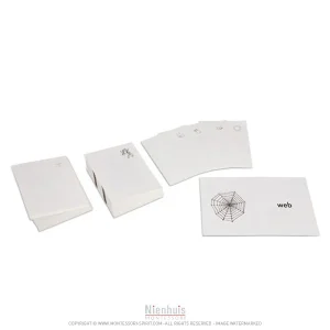 first-books.jpgv1729876343 First Books