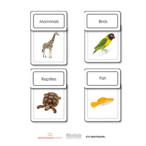five-classes-of-vertebrates-sorting-cards.jpgv1729877486 Five Classes of Vertebrates Sorting Cards