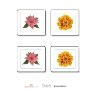 flowers-matching-cards.jpgv1729877535 Flowers Matching Cards