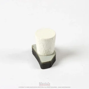 Pièce puzzle d'Amérique du Nord : Belize