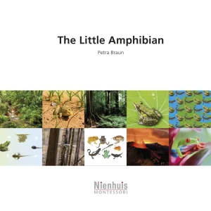 the-little-amphibian.jpgv1729878507 The Little Amphibian