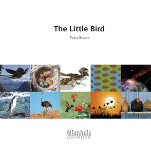 the-little-bird.jpgv1729878514 The Little Bird