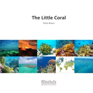 the-little-coral.jpgv1729878507 The Little Coral