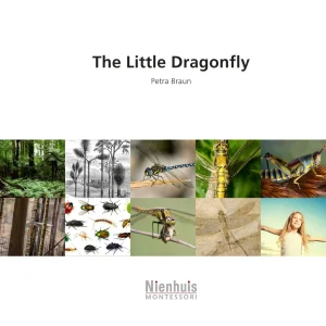 the-little-dragonfly.jpgv1729878513 The Little Dragonfly