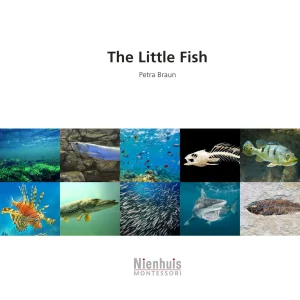 the-little-fish.jpgv1729878506 The Little Fish