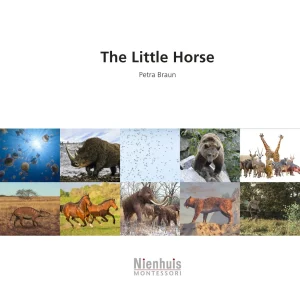 the-little-horse.jpgv1729878514 The Little Horse