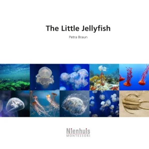 the-little-jellyfish.jpgv1729878500 The Little Jellyfish