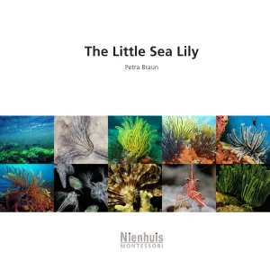 the-little-sea-lily.jpgv1729878506 The Little Sea Lily