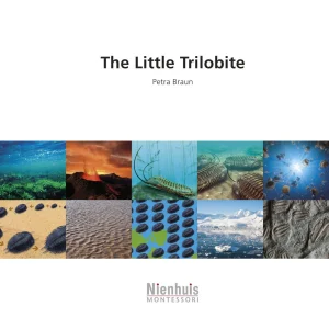 the-little-trilobite.jpgv1729878500 The Little Trilobite