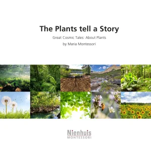 the-plants-tell-a-story.jpgv1729878499 The Plants Tell A Story