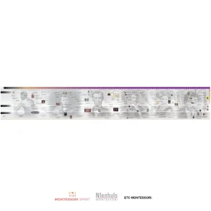 timeline-of-african-american-history-display.jpgv1729878110 Timeline of African American History (Display)