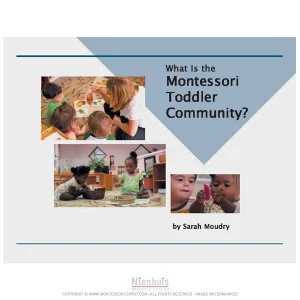 what-is-the-montessori-toddler-community.jpgv1729876419 What Is The Montessori Toddler Community?