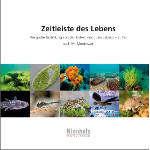 zeitleiste-des-lebens.jpgv1729878325 Zeitleiste des Lebens